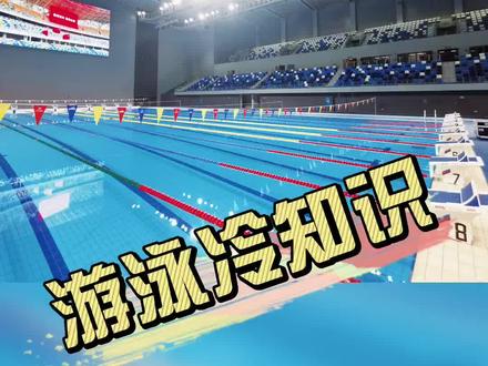 #游泳冷知识 标准游泳池两侧的三角小旗是做什么用的?#游泳 #冷知识