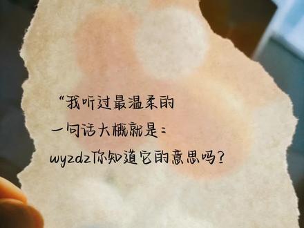 #真实生活分享计划 #vlog日常
wyzdz你知道它的意思是什么吗