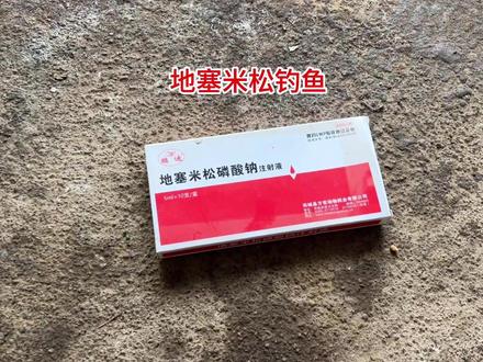 地塞米松钓鱼测试,水下效果高清呈现#钓鱼 #爆护饵料 #饵料添加剂 #鱼饵添加剂 #老G翠红