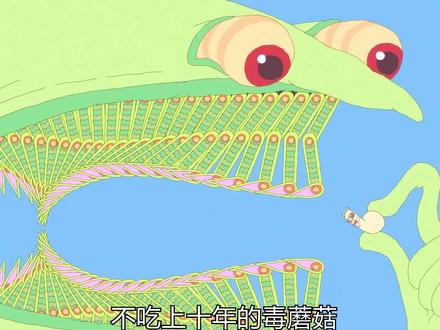 不吃十年的毒蘑菇,都画不出如此奇葩的动画#短片解说#奇葩#脑洞