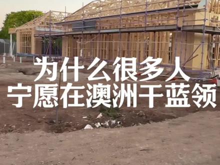 为什么很多人宁愿在澳洲干蓝领#大鑫在澳洲 #蓝花楹传媒 #海外生活 #出国打工 #出国