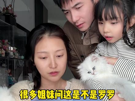 天呐噜! 这到底是不是罗罗啊? #萌娃 #90后带娃