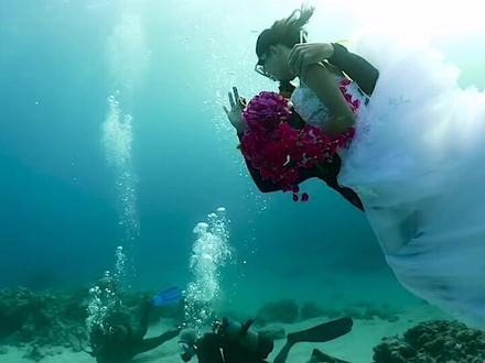 你无法想象的深海世界 (上)