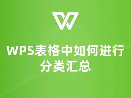 WPS表格中如何进行分类汇总?看这里,轻松搞定! #wps表格 #wps表格技巧 #wps #wps教程