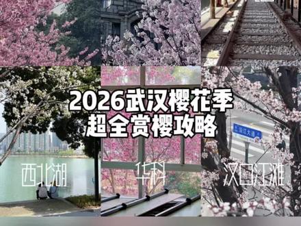 2026武汉樱花季赏樱全攻略🌸 汉口-武昌-汉阳 赏樱交通路线+美食攻略一篇搞定‼️
#武汉 #武汉樱花 #周末去哪儿 #真茶屋 #樱花拍照打卡