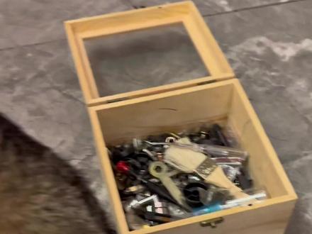 土拨鼠 真正的打工鼠!#动物解说 #土拨鼠