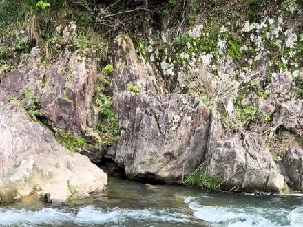 溪流钓急流如何做钓? 当你们钓过这种水域的溪石斑就再也不想钓稳水了 给口快 节奏凶 上鱼快 #溪流钓 #溪石斑 #急流