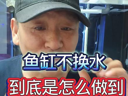 #真实生活分享计划 鱼缸不换水竟有这妙招?到底咋做到的!养这些鱼不用经常换水不用加温#养鱼 #养鱼日记 #养鱼养心 #养鱼人