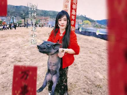 说好来玩,结果扛着猪鸡鸭回家过年,这就是我在广东周边发现的现实版疯狂动物城#春节去哪玩 #赣州旅游攻略 #过年氛围提前搞起来了 #抖音新春吃喝玩乐节活动 #广东周边好去处