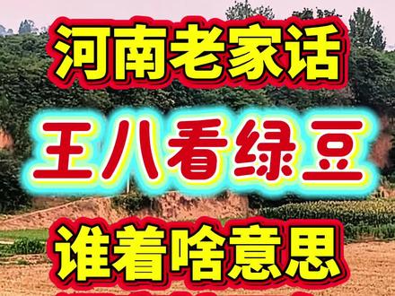 #河南老家经典歇后语:王八看绿豆,老辈人常挂嘴边,老乡们快来猜猜后半句,看看谁能第一时间答对!#河南老家话 #方言歇后语 #农村老俗话#杨娃日常#真实生活分享计划