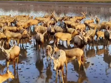 盐城特产还是蛮多的#美食 #美食分享 #盐城特产