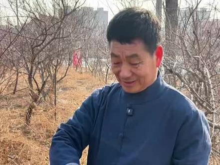 采正月桃枭做款香 桃枭作用很多 。桃枭避秽香 方 分享给大家