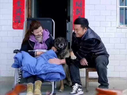 巴图是重情重义的动物,它接受主人的食物和关爱,便回报一生的忠诚和守护。
#新农人 #乡村守护人 #狗狗