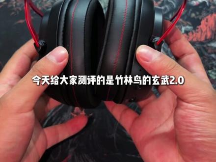 用了很久的耳机,终于升级了 #游戏外设 #数码产品 #游戏耳机 #竹林鸟玄武