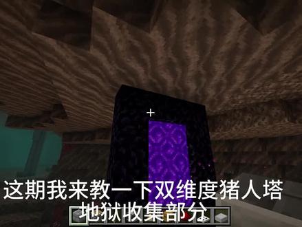 双纬度猪人塔地狱收集部分
