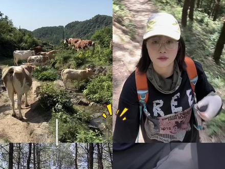 📍广安霍比特徒步攻略(公共交通出行版) ✅🏃♀️路线:石门子村→大草坪→石门子村→高兴站
✔️小环线7公里左右,大环线去万年观音洞10公里左右
✔️俺们走的小环线,但下山是走回高兴站的,所以一共走了10.67公里,走走停停总耗时约6.5h
✅℃当日气温(6.15号):20-33℃,中午开始走的,没有遮挡物的地方很热,全程大约三分之一没有遮挡,剩下三分之二基本有林子遮阳,还是挺凉快的,能接受
✅🚂交通:
✔️往返火车:
重庆北→高兴站,9.19-10.20;高兴站→重庆北,19.35-20.59;总计票价29💰,
【记得提前买票!徒步的人还挺多的,我们返程只买到无座🥹站了差不多1.5h】
✔️高兴站到徒步起点石门子村有三种方式:
1️⃣摩托,15💰,出站就会有人问是不是去石门子村徒步
2️⃣面包车,10💰,只看到一个师傅在问,刚好碰上了,所以我们坐的面包车上山
3️⃣步行3.5公里,天气热不太建议,后半程盘山公路要爬坡;下山时间充裕可以走回高兴站(俺们就是直接走回的高兴站😊)
【返程坐车下山的朋友记得留师傅电梯☎️,下山提前十来分钟打电话让他来接】
✔️自驾朋友直接导航:📍广安市华蓥市石门子村
✅🥰感受/提示:
①山里信号撇,有些地方甚至没有信号,保险起见建议提前下载好离线地图
②在大草坪玩耍的时候,要注意不要往草深人少的地方去,可能会有蛇‼️
③这条线风景很不错🤗,已经是第二次去啦,有草坪,树林,小溪流,羊群,牛群…
④途中遇到了三个补给点,其中两个在大草坪附近,大草坪爷爷补给点冰水5块,冰可乐8块;还有一个距离小溪流很近,小溪流这个卖的东西丰富些
⑤相比于两年前,现在这条线好了很多,垃圾少了!补给点变多了!沿途还设计了可爱的指示牌,起点还整了个集散中心
⑥一定一定要带走自己的垃圾哦!爱护环境,人人有责🤗
⑦到达石门子村,因为是环线,所以左右两边都可以作为起点,不想爬长坡的朋友可以像我们一样从右边开始,不想下长坡的朋友就从左边开始,小溪流在左边开始不远处,大草坪在中间位置,多数人都是从左边开始走的
⑧夏天做好防晒防暑防蛇工作,温度太高不建议前往
⑨如果要在镇上吃饭!出站过马路往前直走几百米右转就有,还有个零食很忙可以补给
#户外徒步 #广安霍比特徒步 #徒步路线推荐 #重庆徒步#天气热又能怎