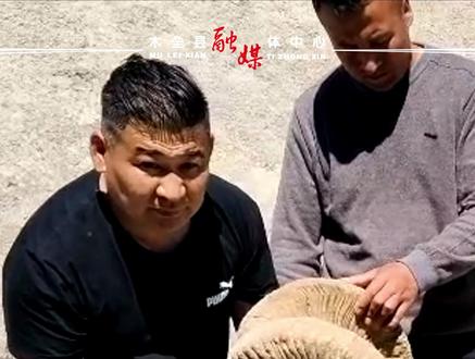 木垒县东天山交警执法站救助国家二级保护动物盘羊