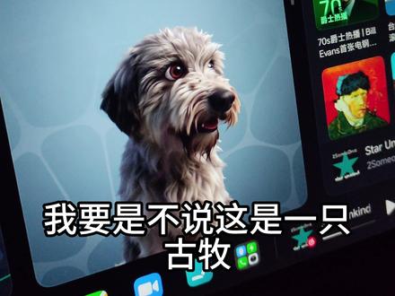 小米汽车如何设置自己的宠物形象#小米汽车