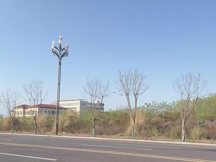 摩托车推荐榜-第18期 四缸仿赛怎么选?#四缸摩托 #仿赛 #机车 #张雪500rr