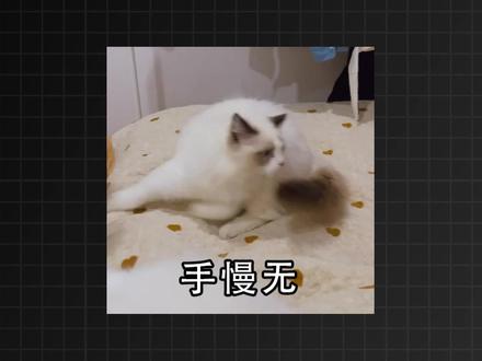 游戏本618最后筛选∶只剩这些相对促销了 联想涨价下都捡漏指南%下半年涨价预警……#618 #游戏本 #笔记本 #我在抖音聊科技 #科技下一站