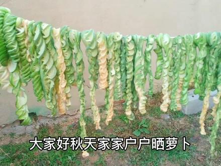 又到了晒萝卜干的季节了,今天终于学会切萝卜拉花了,看看我切的#在家做美食 #美食教程 #刀功 #用心做菜