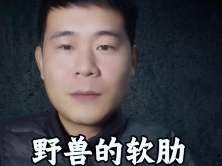 听懂这个故事,能让你少走弯路。
很多人痛苦,是因为总试图拿棍子去捅头顶的“山魈”,结果把自己搞得遍体鳞伤。
记住:治野兽,不能拼反应,要拼规矩。#真实生活分享计划 #噪音扰民 #心理博弈 #思维认知 #致远噪音反内耗