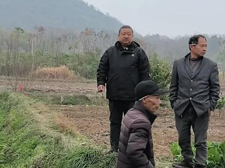 高标准农田建设