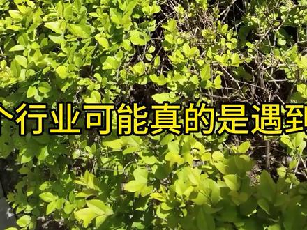 江苏物生地,机器人工程就业前景#张雪峰 #家长收藏孩子受益 #2023年高考 #高考志愿填报