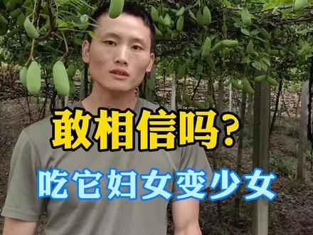 吃过八月瓜的美女都知道它的好,这个果子全身都是宝#十堰八月瓜#明朝八月瓜#十堰八月炸#新型水果