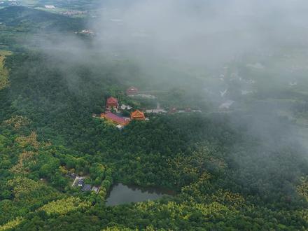 快来看看初冬的我#云雾缭绕人间仙境 #高淳