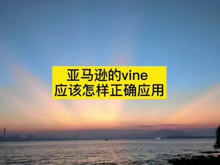 亚马逊的vine应该怎样正确应用#亚马逊运营培训 #亚马逊运营技巧 #亚马逊vine #亚马逊vine计划 #亚马逊新手广告