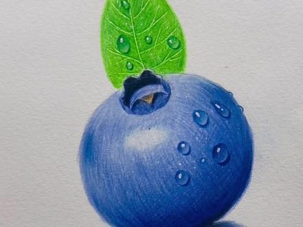 #彩铅 #彩铅手绘 #蓝莓 #绘画 #热门 裕画室彩铅画