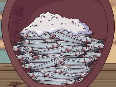 鱼露鱼露,腌鱼成露 #鱼露 #鱼露制作过程 #轻漫计划 #新农人计划