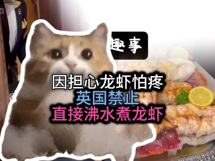 “因担心龙虾怕疼,英国禁止沸水煮龙虾” #趣闻 #奇闻趣事 #搞笑 #美食 #英国
