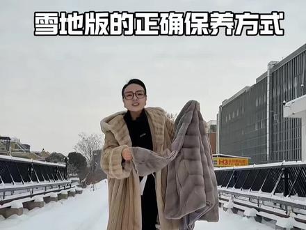 雪地里水貂的正确保养方式#水貂 #水貂清洗保养 #进口水貂 #同城好店推荐 #雪景