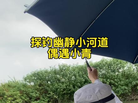 探钓幽秘小河道,偶遇小青#钓鱼的乐趣只有钓鱼人懂 #钓鱼人就是这么疯狂 #爱生活爱钓鱼