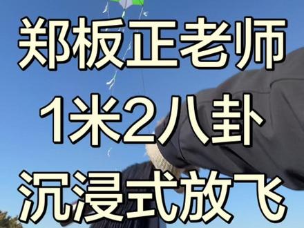 八卦放飞技术视频,涉及单人原地起飞技术,八卦收纳,风筝杆安装顺序,牛角环配合拐子放线等等。超长视频。欢迎风友评论区交流。#风筝 #风筝带你飞 #八卦风筝#风筝拐子#户外