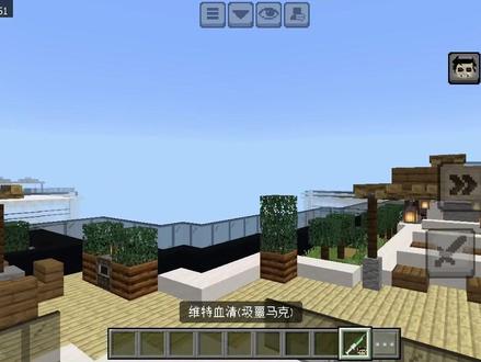 #我是世界 桦木的无敌少侠