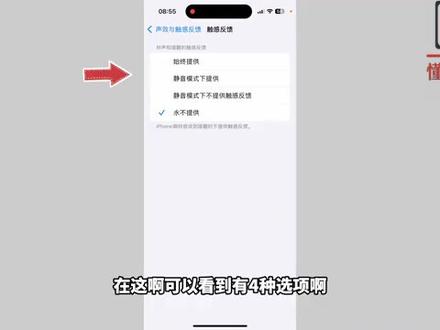 苹果手机怎么关震动功能呢? #科技 #科普
