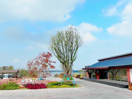 #牛角村欢乐田园度假区 #阡书店 抬头闻香,天花是交错的稻浪;起步寻书,地板是升腾的阶梯。这里是牛角村欢乐田园度假区阡书店,一间长在稻田里的书店。