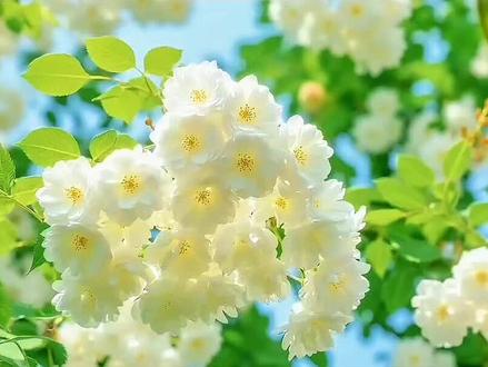 水波纹转场 丝滑的水波纹转场是怎样制作的?今天30秒教会你#水波纹转场 #圆形蒙版转场 #剪映新手教程 #遇到好看的风景当然要分享给你 #手机剪辑教学 @DOU+小助手