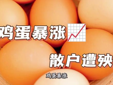 鸡蛋暴涨,散户遭殃,做空难逃爆仓。#期货 #鸡蛋