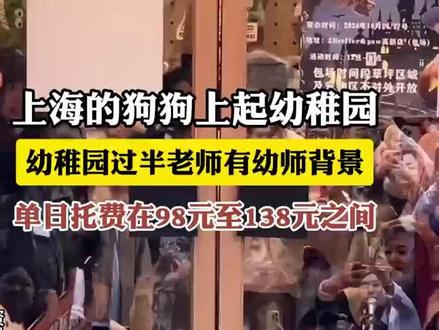 上海的狗狗上起幼稚园,幼稚园过半老师有幼师背景,单日托费在98元至138元之间#宠物