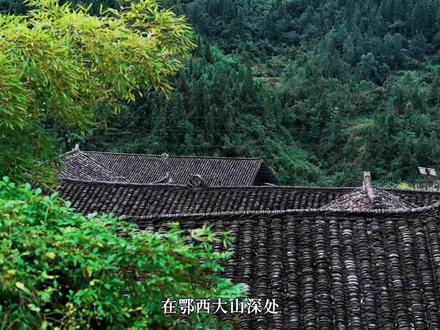 来恩施喝一碗香喷喷的土家油茶汤!
#非遗 #非遗美食 #土家油茶汤 #恩施美食 #土家文化