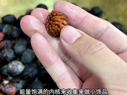 桃枭 魑魅魍魉都害怕的东西,桃枭应该怎么采桃枭怎么处理 #桃枭 #道闲生 #道家文化 #传统文化 #桃枭的作用