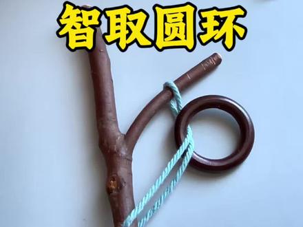 你能在三秒内取出圆环吗?#益智玩具#锻炼动手动脑 #专注力训练#锻炼儿童动手动脑的能力