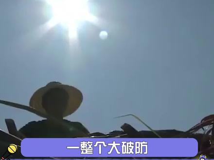 破防了,万物皆有灵,它真的能听懂你说话!#感动