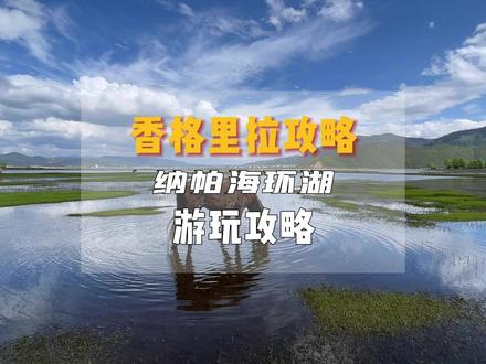 血泪教训!纳帕海环湖大避雷... 【🔥 云南六日纯玩!打卡网红不踩雷!刷爆朋友圈就靠它!】
是谁还在刷大理S湾、玉龙雪山、蓝月谷的视频流口水⁉
别再羡慕别人的朋友圈啦!这份保姆级行程,直接安排上!!
✅ 龙门鸟瞰滇池 + 茶马花街逛吃毕打卡
✅ 大理必刷!洱海S湾旅拍 + 漫步古城夜色
✅《去有风地方》同款!小西湖泛舟悠闲
✅ 雪域圣山!玉龙雪山云杉坪 + 梦幻蓝月谷
✅ 文青最爱!束河慢时光 + 亲手做唐卡体验
✅ 深度连玩三城!昆明起止✅ 高铁舒适出行✅ 纯玩不购物✅
📍贴心安排:昆明24H接机 + 专车全程接送 + 携程四钻高评住宿
👉 高清行程图甩过来,周末也能拼假出发!
👉 老客户劲爆特惠名额,咨询手慢无!
【📩 留言“云南+出发日期”,1对1发详细行程+报价!等你来撩~】
#云南游 #大理旅游 #丽江旅游 #暑假去哪玩 #毕业旅行