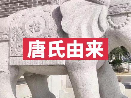 唐氏起源与发展史#唐氏家族 #唐氏由来#中华文化 #百家姓#唐氏