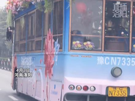 洛阳的公交车都开始“簪花”了,洛阳真是牡丹“痛城” 随处可见的牡丹花元素,网友:刚到洛阳就被美到!公交都这么有仪式感#一路繁花向洛阳